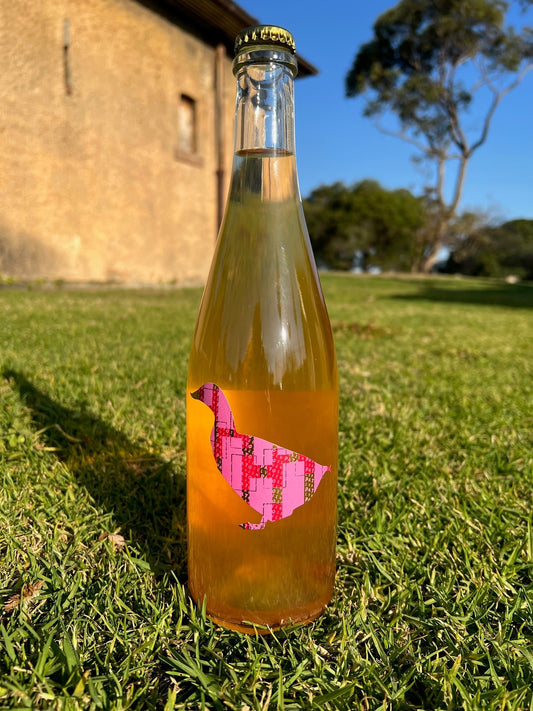 Duckman 'ROSA DUCK' Pet Nat 2021