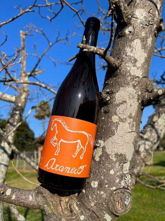 Della Staffa 'ARANCIO' 2021