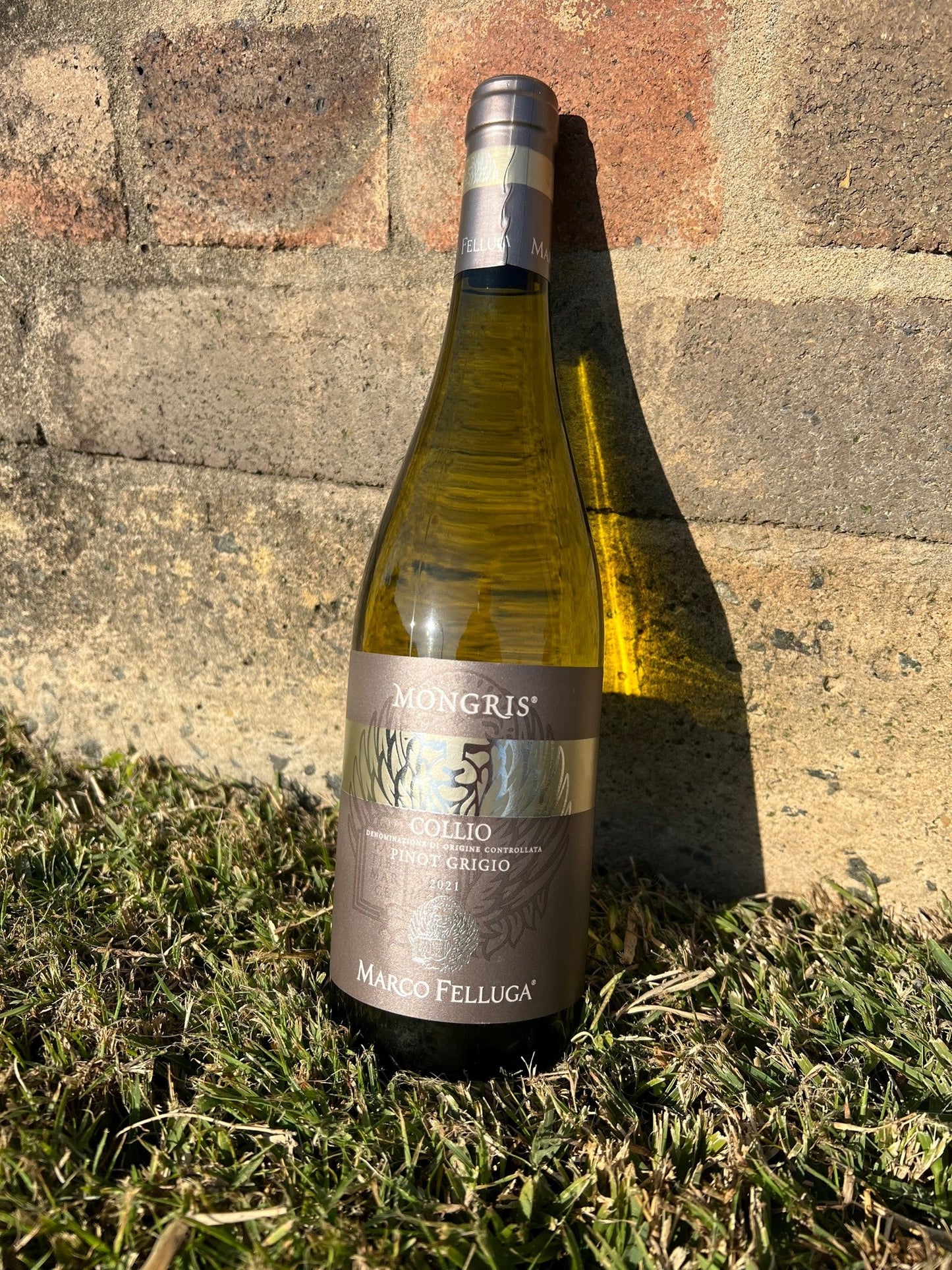 Marco Fellgua Pinot Grigio "MONGRIS" The LION 2024