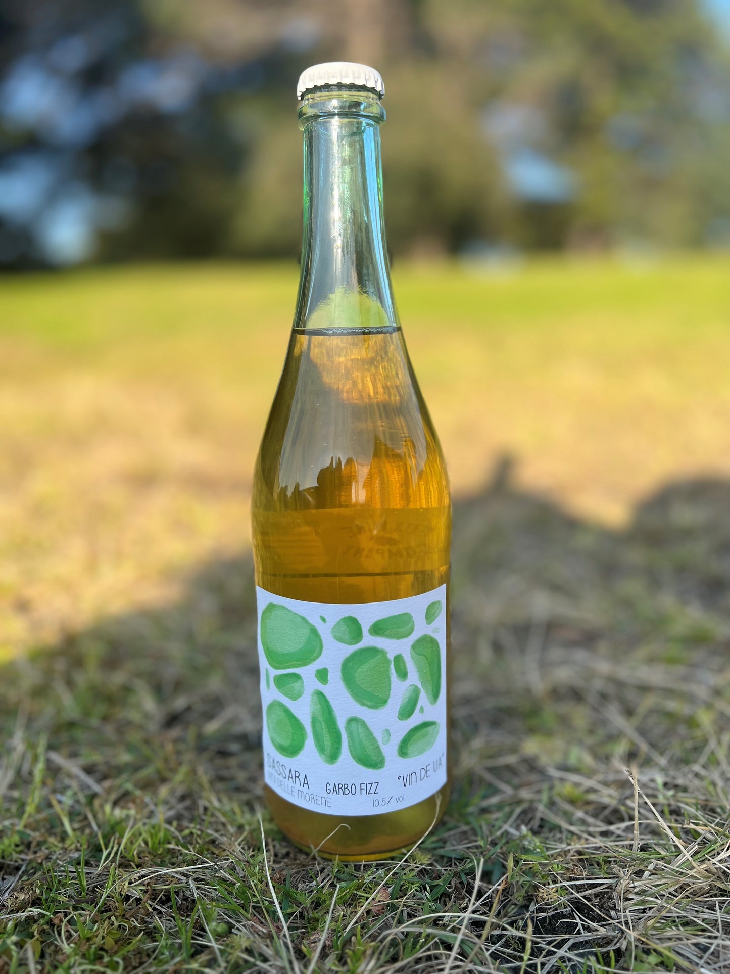 Sassara Vini “Bianco Frizzante” 2020