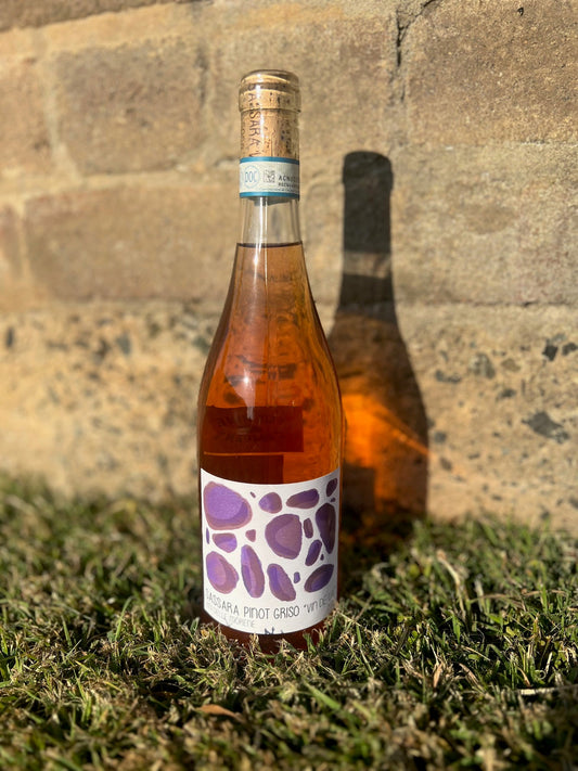 Sassara 'PINOT GRISO' Vin de UA 2021