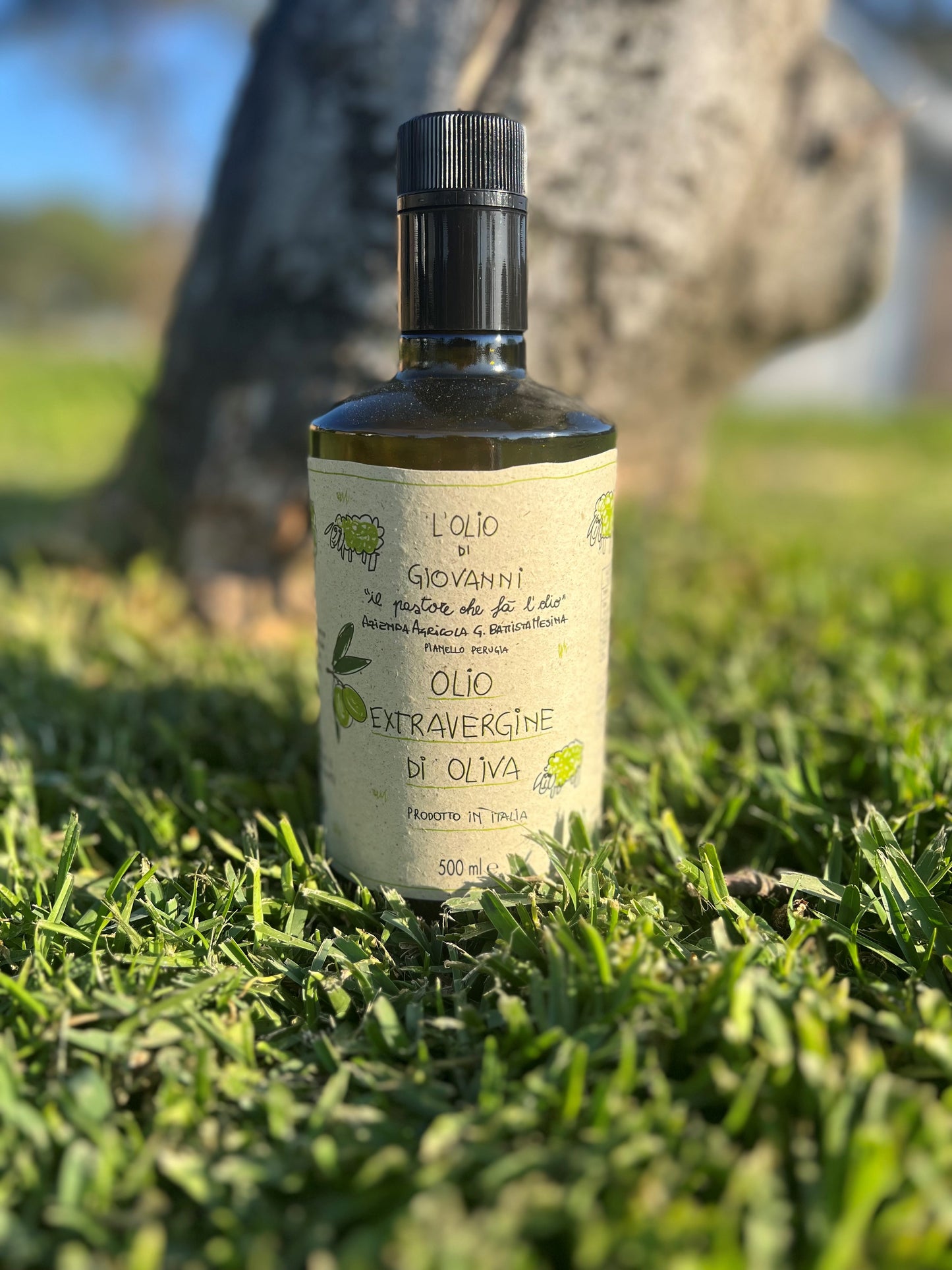 Vini di Giovanni  'D'OLIO DI GIOVANNI' Extra Virgin Olive Oil