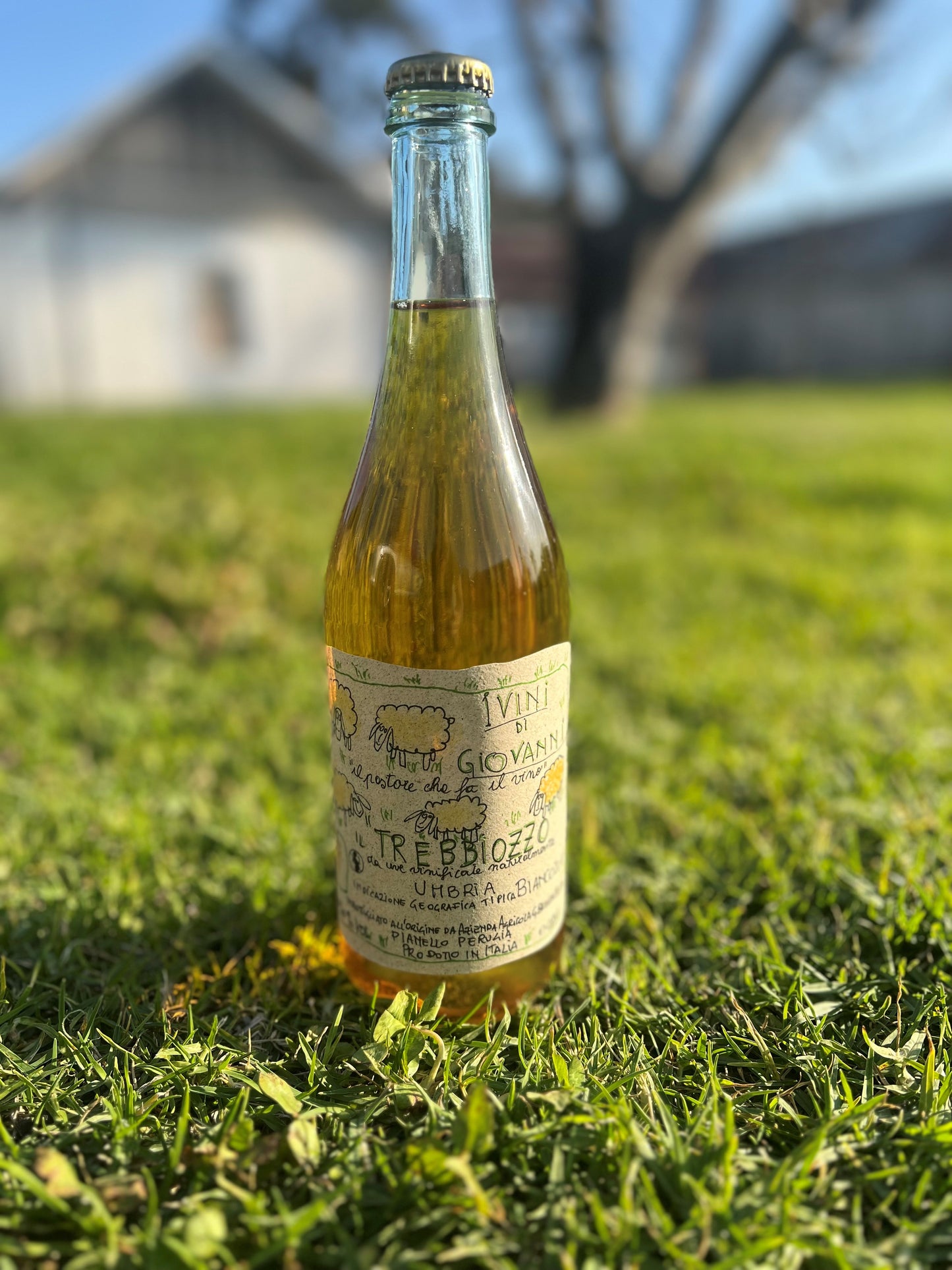 Vini di Giovanni “Trebbiozzo” Sparkling Pet Nat 2021