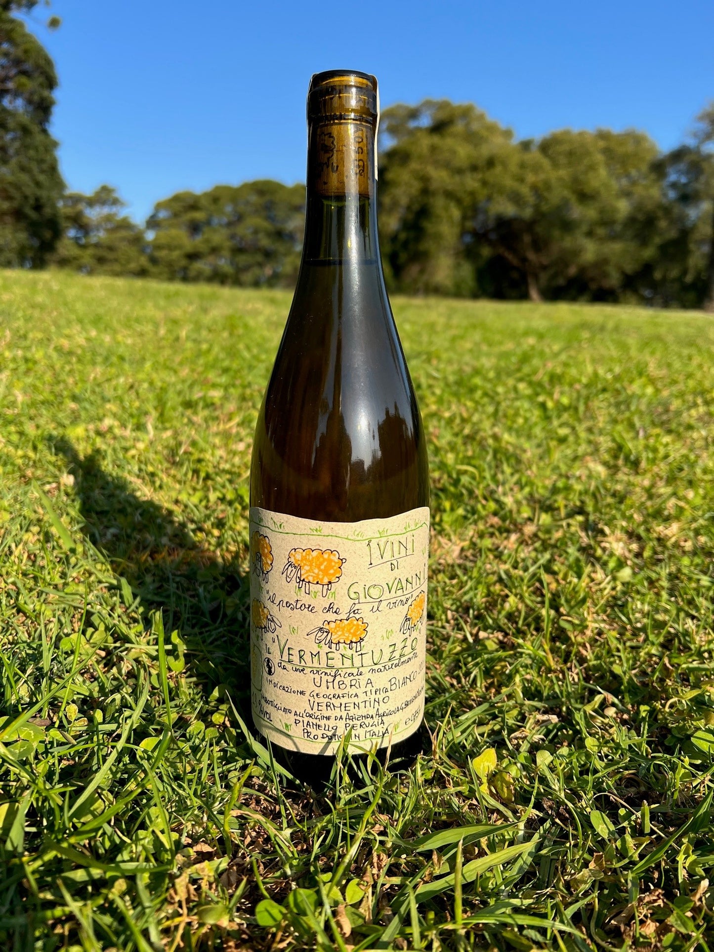 Vini di Giovanni 'VERMENTUZZO' 2023