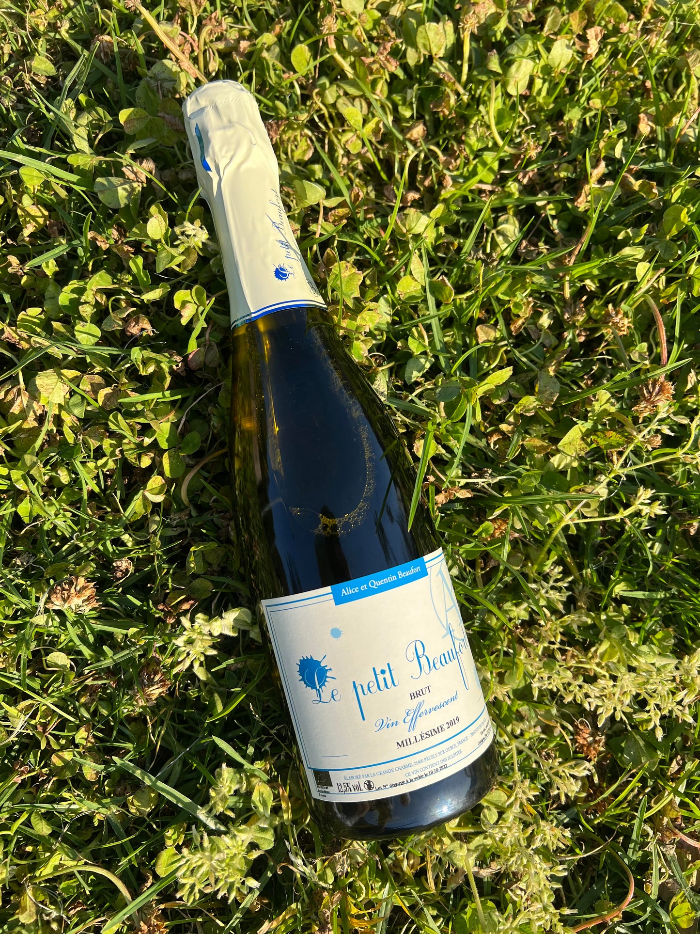 Domaine Alice Beaufort "Le Petit Beaufort" Brut Millésime 2019