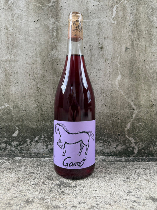 Conestabile Della Staffa 'GAMO' 2024