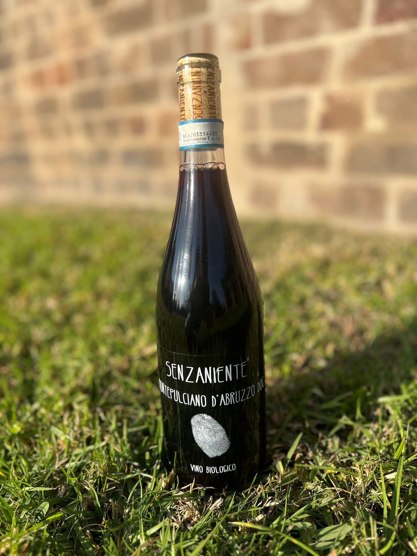 Marina Palusci “SENZANIENTE” Montepulciano 2020